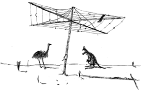 Illustration by Louise Gardiner