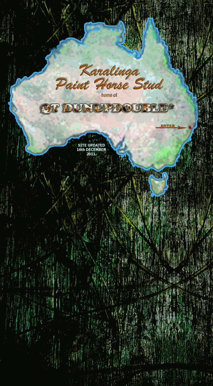 Karalinga Paint Horse Stud